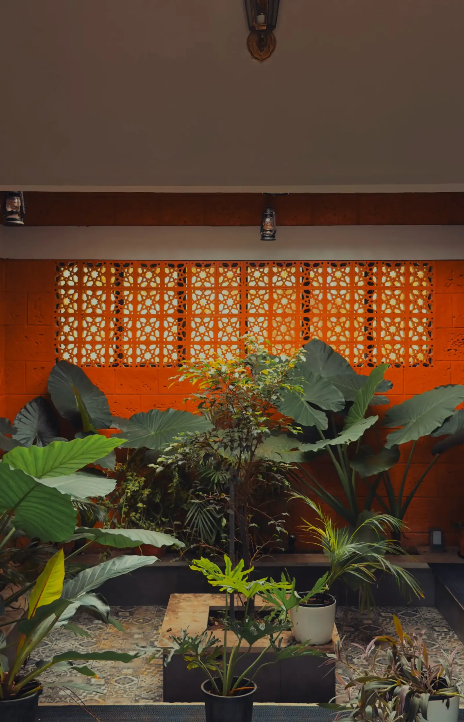 Courtyard garden of large-leafed plants in front of an orange wall with a patterned jali screen