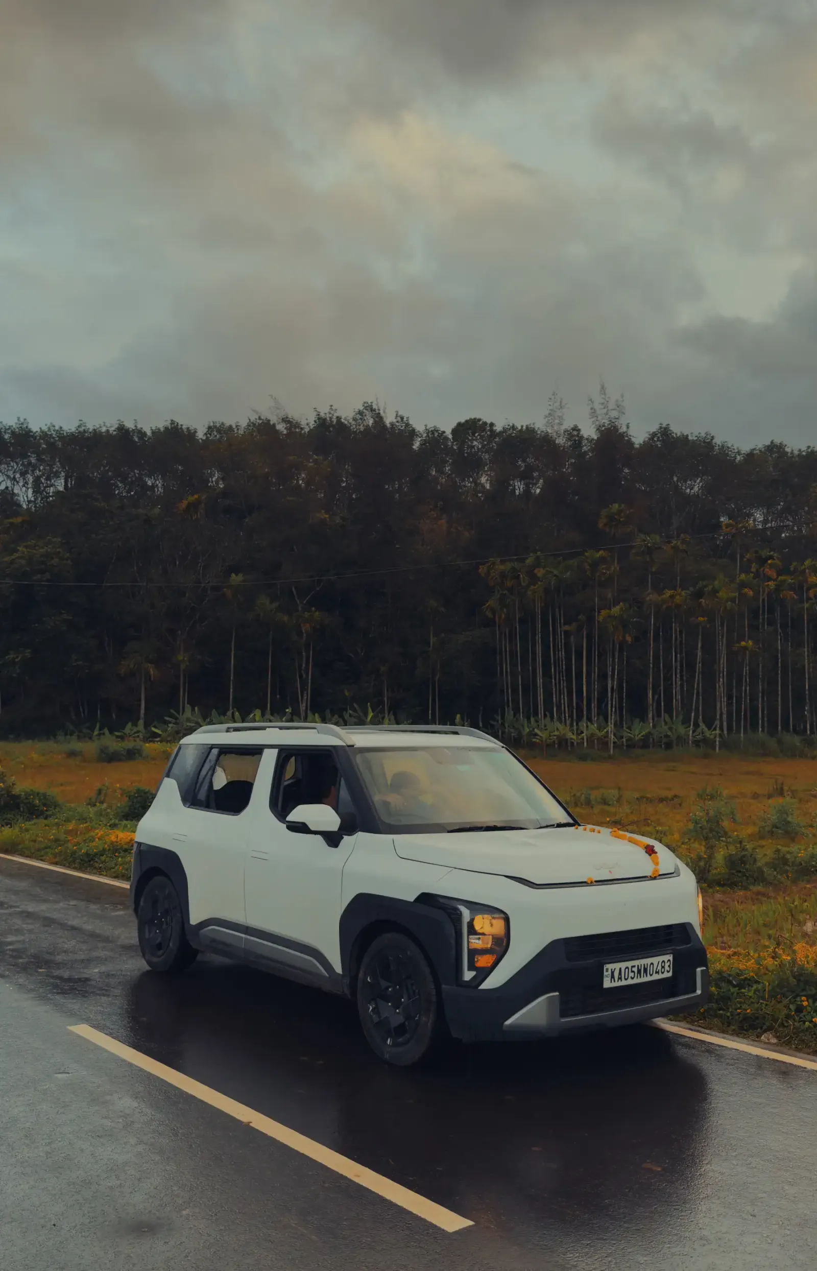 White SUV on a wet road with a line of palm trees and storm clouds behind