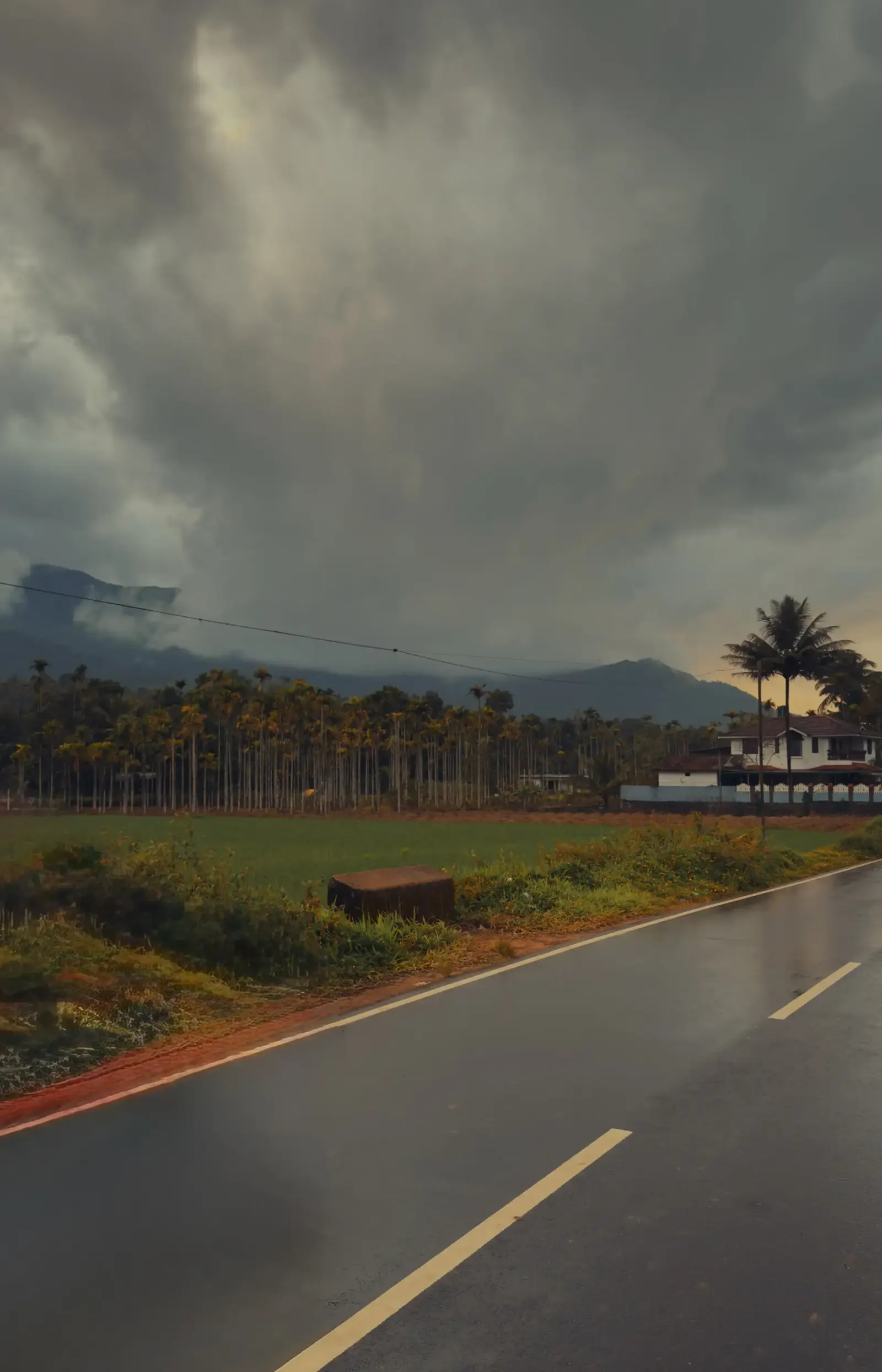 Empty wet road beside green fields, with palms and hills under heavy clouds